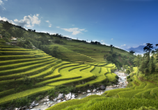 Ha Giang Insight  - Private Tour  4 days 3 nights