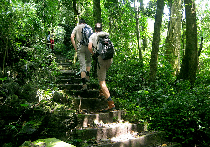 Cuc Phuong National Park One Day Trekking